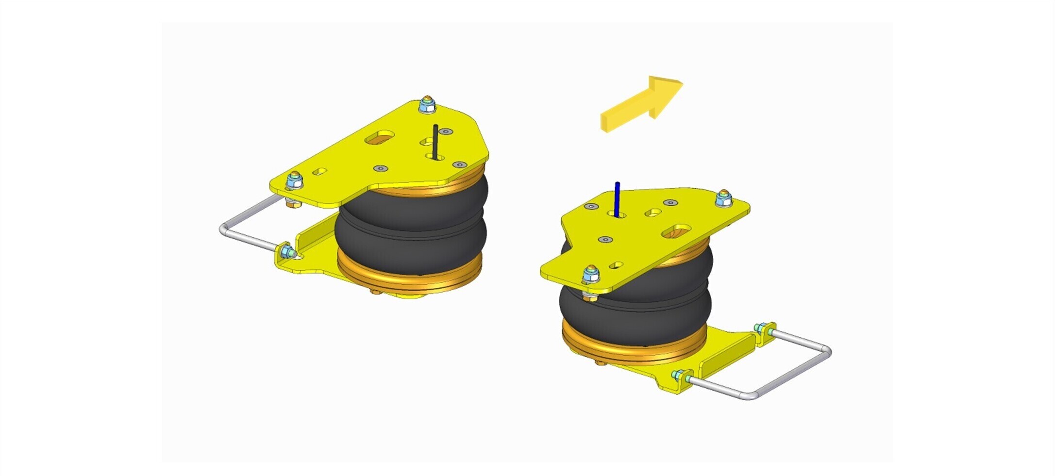 L.IVE.65.C.C.M image