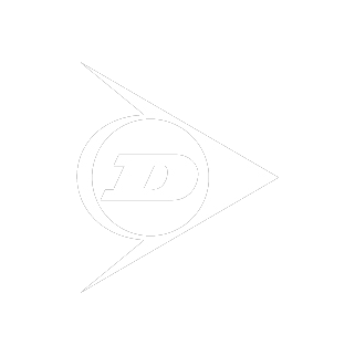 Dunlop Systems & Components small logo